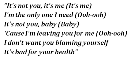 Lyrics of the song "it's not u it's me"