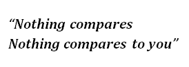 Lyrics of "Nothing Compares 2 U"