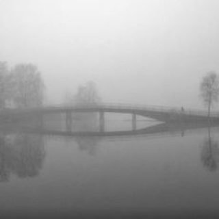 Silent Morning