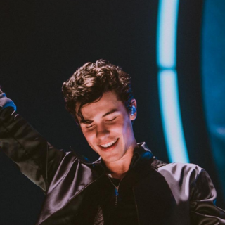 Shawn Mendes