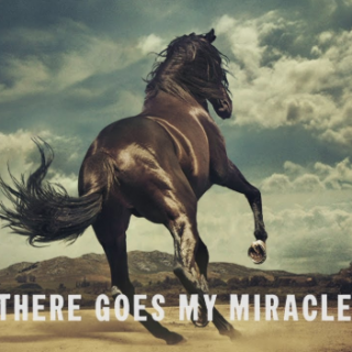There Goes My Miracle