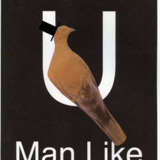 U (Man Like)