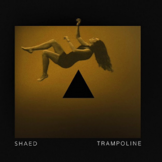 Shaed