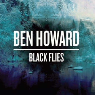 Black Flies