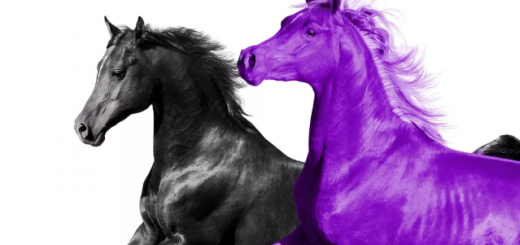 Seoul Town Road