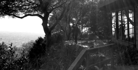 Take Me to the Light