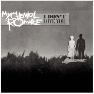 I Don't Love You