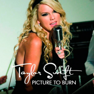 Picture to Burn