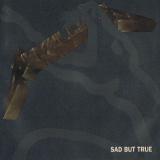 "Sad But True" by Metallica