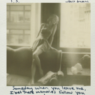 Wildest Dreams by Taylor Swift