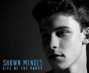 Life of the Party by Shawn Mendes