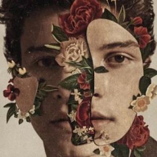 Particular Taste by Shawn Mendes