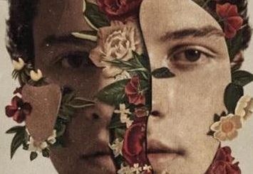 Particular Taste by Shawn Mendes