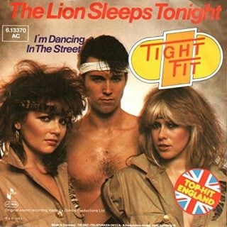 The Lion Sleeps Tonight by Tight Fit