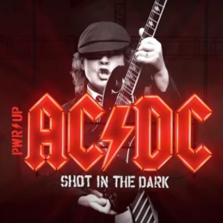 Shot in the Dark
