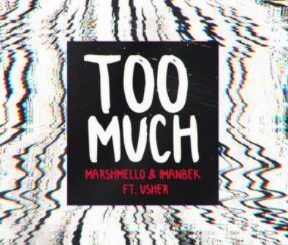 Too Much by Marshmello & Imanbek (ft. Usher)