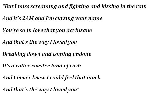 Lyrics for "The Way I Loved You"