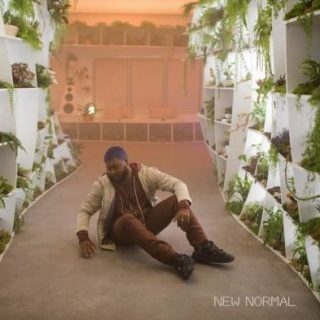 New Normal