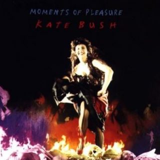 Kate Bush's "Moments of Pleasure"