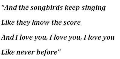 Fleetwood Mac, "Songbird" Lyrics
