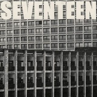 Seventeen Going Under