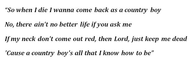 Lyrics to "Come Back As A Country Boy"