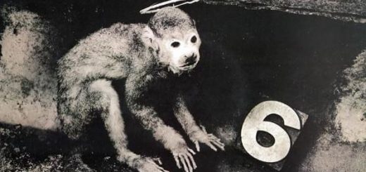 Monkey Gone To Heaven