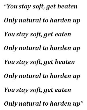 Mitski's "Stay Soft" Lyrics