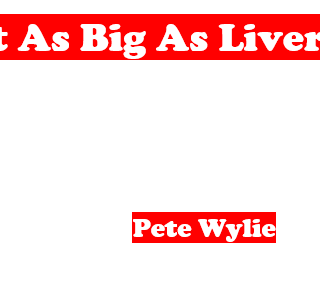Pete Wylie
