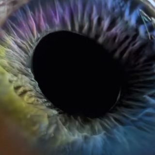 Age of Anxiety 1