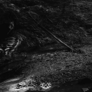 Into the Earth