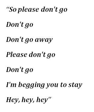 "Please Don’t Go" Lyrics