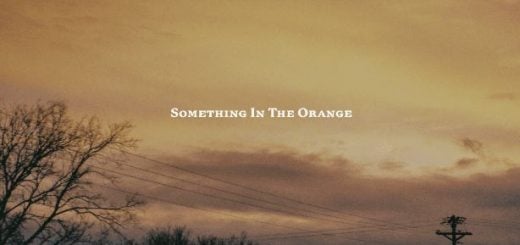 Something in the Orange