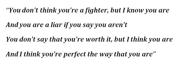 Lyrics for Tom MacDonald's "Fighter"
