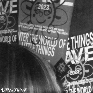 Little Things