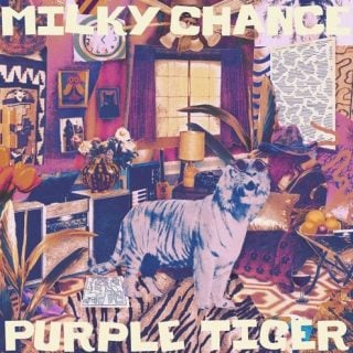 Purple Tiger