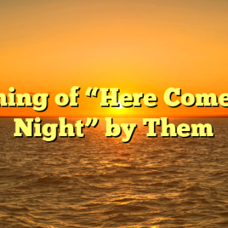 Meaning of “Here Comes the Night” by Them