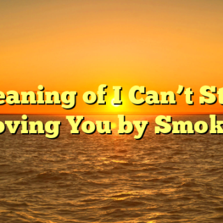Meaning of I Can’t Stop Loving You by Smokie
