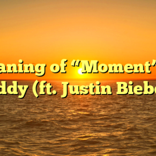 Meaning of “Moment” by Diddy (ft. Justin Bieber)