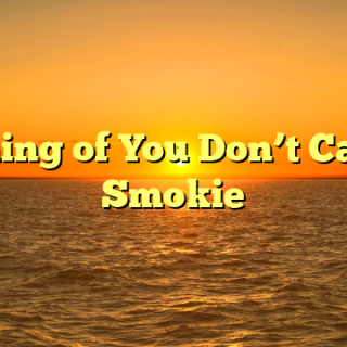 Meaning of You Don’t Care by Smokie