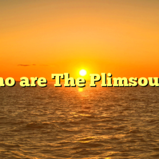 Who are The Plimsouls?
