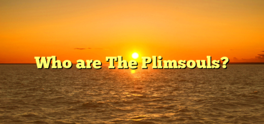 Who are The Plimsouls?