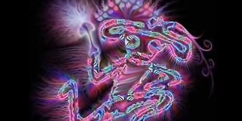 Divine Moments of Truth Shpongle
