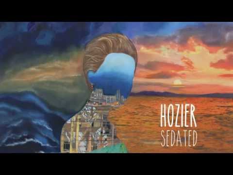 Sedated by Hozier Lyrics Meaning - Unraveling the Veil of Modern